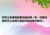 你怎么舍得我的眼淚流向海（有一句歌詞是你怎么舍得讓我的淚流向海求歌詞）