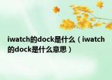 iwatch的dock是什么（iwatch的dock是什么意思）