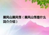 黑風(fēng)山黑風(fēng)怪（黑風(fēng)山怪是什么簡介介紹）