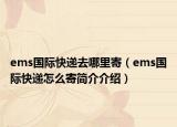 ems國際快遞去哪里寄（ems國際快遞怎么寄簡介介紹）