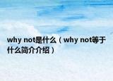 why not是什么（why not等于什么簡介介紹）