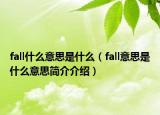 fall什么意思是什么（fall意思是什么意思簡介介紹）