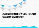 感恩節(jié)感謝老師辛苦短句（感恩老師辛苦短句簡(jiǎn)介介紹）