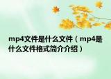 mp4文件是什么文件（mp4是什么文件格式簡(jiǎn)介介紹）