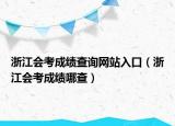 浙江會考成績查詢網(wǎng)站入口（浙江會考成績哪查）