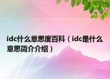 idc什么意思度百科（idc是什么意思簡介介紹）