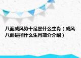 八面威風(fēng)勢十足是什么生肖（威風(fēng)八面是指什么生肖簡介介紹）