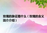 玫瑰的象征是什么（玫瑰的含義簡(jiǎn)介介紹）