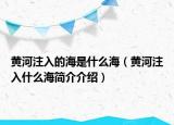 黃河注入的海是什么海（黃河注入什么海簡介介紹）