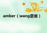 amber（wang是誰）