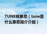 TUNE啥意思（tune是什么意思簡介介紹）