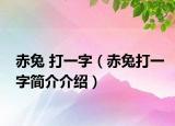 赤兔 打一字（赤兔打一字簡介介紹）