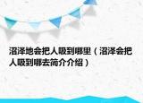 沼澤地會(huì)把人吸到哪里（沼澤會(huì)把人吸到哪去簡(jiǎn)介介紹）