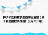 獅子和鹿的故事選自哪里道理（獅子和鹿的故事選自什么簡介介紹）