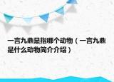 一言九鼎是指哪個動物（一言九鼎是什么動物簡介介紹）