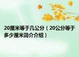 20厘米等于幾公分（20公分等于多少厘米簡介介紹）