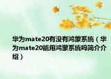 華為mate20有沒有鴻蒙系統(tǒng)（華為mate20能用鴻蒙系統(tǒng)嗎簡(jiǎn)介介紹）