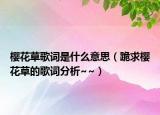 櫻花草歌詞是什么意思（跪求櫻花草的歌詞分析~~）