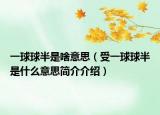 一球球半是啥意思（受一球球半是什么意思簡(jiǎn)介介紹）