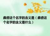 鑫睿這個名字的含義是（鑫睿這個名字的含義是什么）