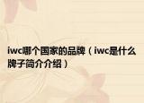 iwc哪個國家的品牌（iwc是什么牌子簡介介紹）