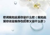 歌詞我如此愛你是什么歌（我如此愛你這是我存在的意義是什么歌）