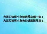 火藍(lán)刀鋒蔣小魚被困荒島哪一集（火藍(lán)刀鋒蔣小魚魯炎逃跑第幾集）