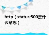 http（status:500是什么意思）