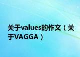 關(guān)于values的作文（關(guān)于VAGGA）