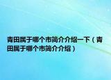 青田屬于哪個市簡介介紹一下（青田屬于哪個市簡介介紹）