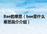 Bae的意思（bae是什么意思簡(jiǎn)介介紹）