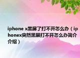 iphone x黑屏了打不開怎么辦（iphonex突然黑屏打不開怎么辦簡介介紹）