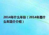 2014年什么年份（2014年是什么年簡介介紹）