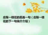 莊稼一枝花的后面一句（莊稼一枝花的下一句簡(jiǎn)介介紹）