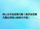 鳴人兒子出生第幾集（撫子女忍第幾集認識鳴人的簡介介紹）