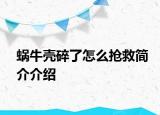 蝸牛殼碎了怎么搶救簡(jiǎn)介介紹