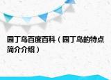 園丁鳥百度百科（園丁鳥的特點(diǎn)簡(jiǎn)介介紹）