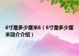 6寸是多少厘米6（6寸是多少厘米簡介介紹）