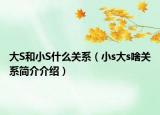 大S和小S什么關(guān)系（小s大s啥關(guān)系簡介介紹）