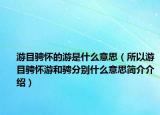 游目騁懷的游是什么意思（所以游目騁懷游和騁分別什么意思簡介介紹）