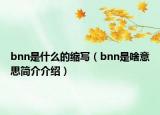 bnn是什么的縮寫（bnn是啥意思簡介介紹）