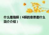 什么是指膜（6膜的意思是什么簡介介紹）