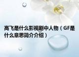 高飛是什么影視劇中人物（GF是什么意思簡(jiǎn)介介紹）