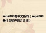 sap2000有中文版嗎（sap2000是什么軟件簡(jiǎn)介介紹）