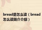 bread是怎么讀（bread怎么讀簡介介紹）