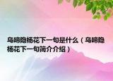 烏啼隱楊花下一句是什么（烏啼隱楊花下一句簡(jiǎn)介介紹）