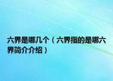 六界是哪幾個(gè)（六界指的是哪六界簡介介紹）