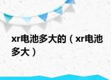 xr電池多大的（xr電池多大）