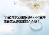 qq空間怎么設(shè)置花藤（qq空間花藤怎么弄出來簡介介紹）