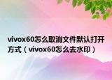 vivox60怎么取消文件默認(rèn)打開方式（vivox60怎么去水?。? /></span></a>
                        <h2><a href=